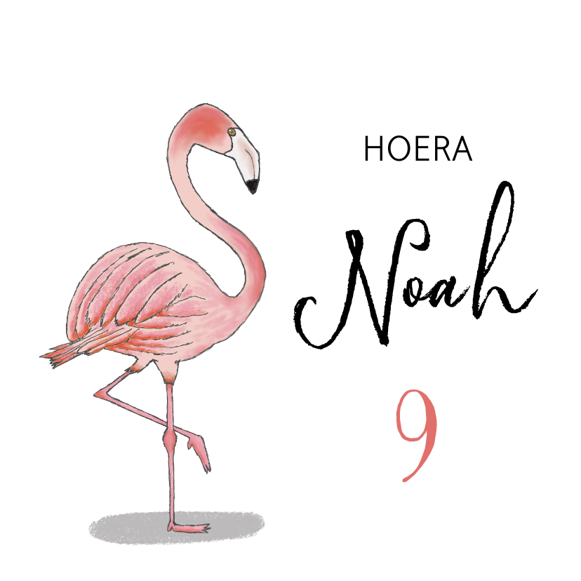 Verjaardag flamingo - Verjaardagskaarten Verjaardagskaarten - Verjaardag flamingo