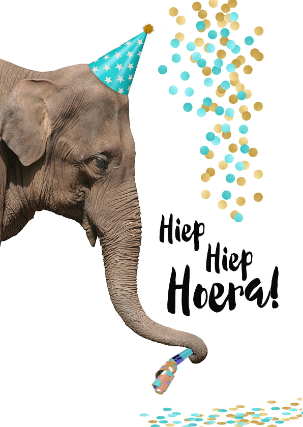 Verjaardagskaarten - Verjaardag grappige olifant met toetertje en feesthoedje