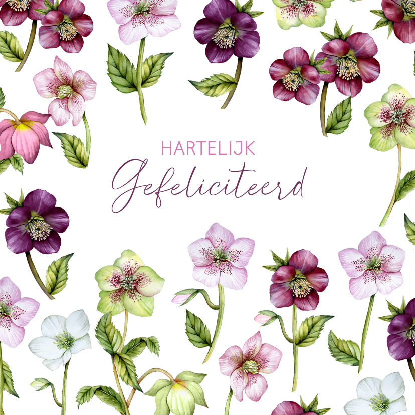 Verjaardagskaarten - Verjaardag helleborus rozen