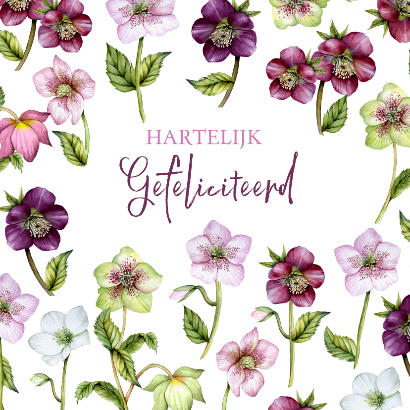Verjaardagskaarten - Verjaardag helleborus rozen