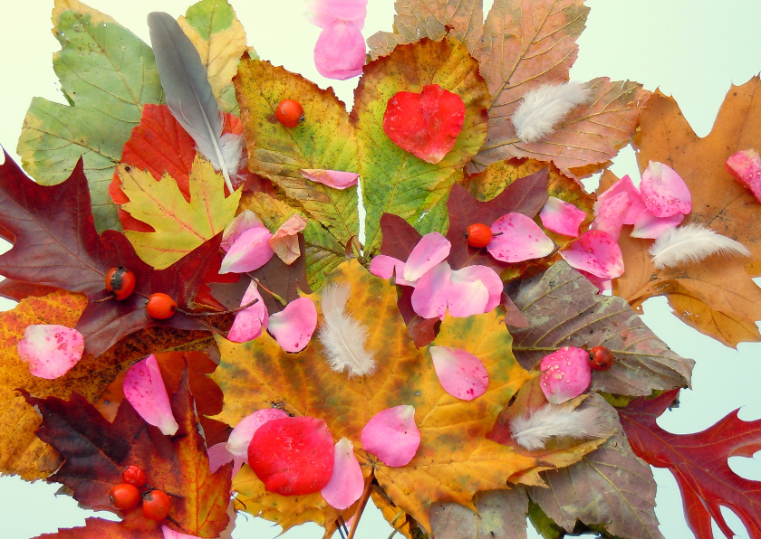 Verjaardag Herfst schatten IW - Verjaardagskaarten Verjaardagskaarten - Verjaardag Herfst schatten IW