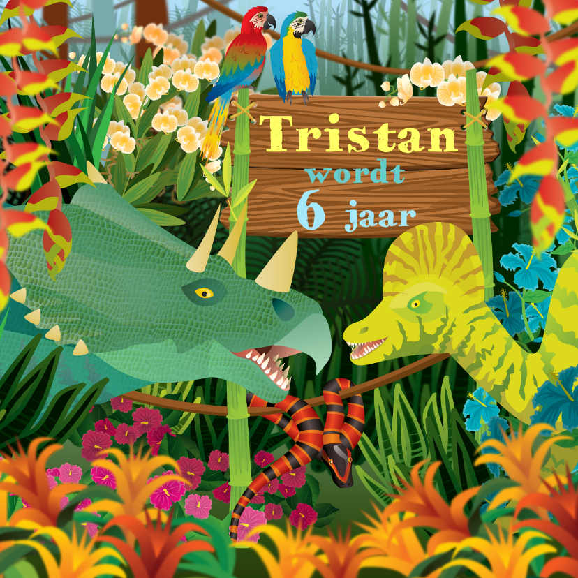 Verjaardag kinderkaart dinosaurus jongenskaart - Verjaardagskaarten Verjaardagskaarten - Verjaardag kinderkaart dinosaurus jongenskaart