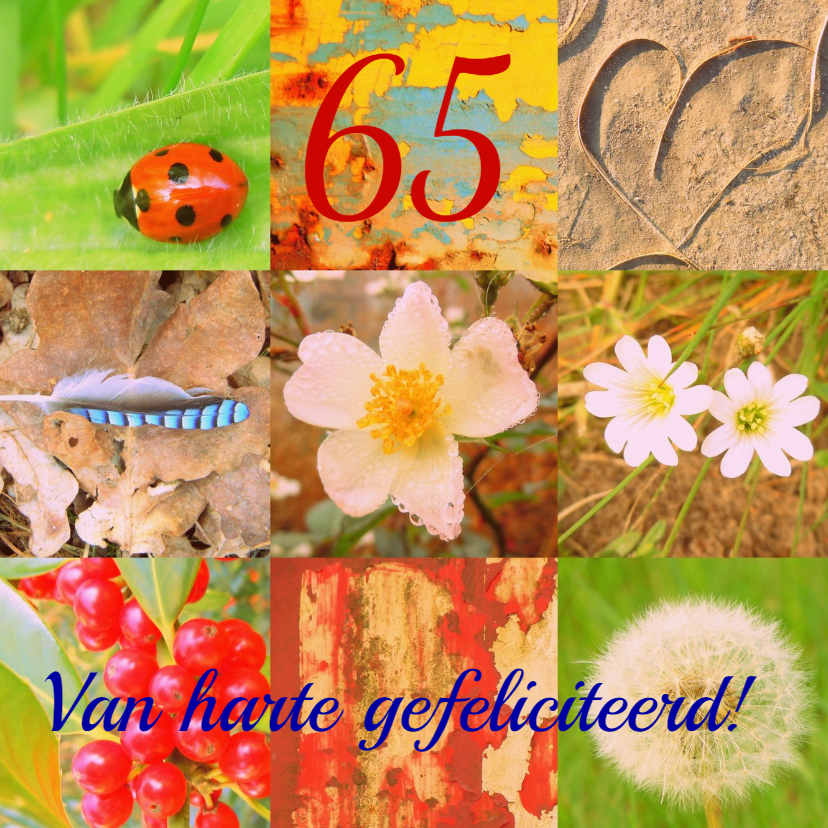 Verjaardag natuurmens IW - Verjaardagskaarten Verjaardagskaarten - Verjaardag natuurmens IW