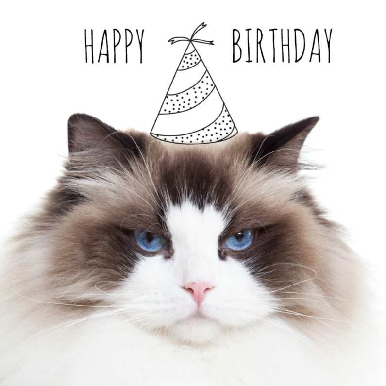 Verjaardagskaarten - Verjaardag | Not so happy birthday cat | Kat