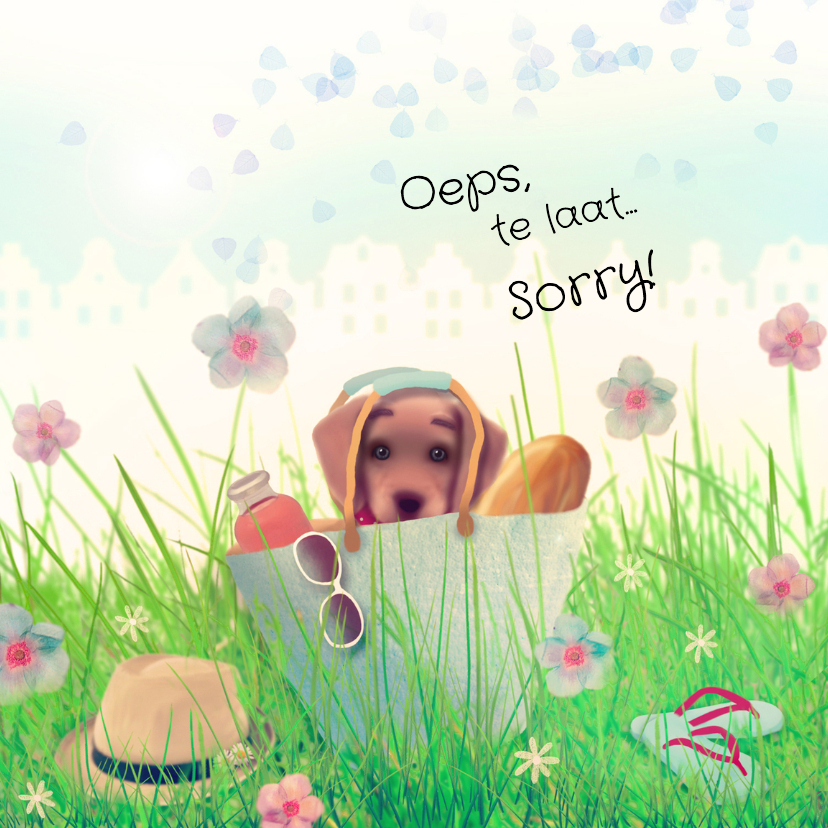 Verjaardag Oeps te laat - Verjaardagskaarten Verjaardagskaarten - Verjaardag Oeps te laat