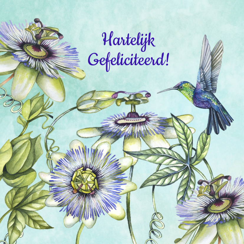 Verjaardag passiebloem hummingbird - Verjaardagskaarten Verjaardagskaarten - Verjaardag passiebloem hummingbird