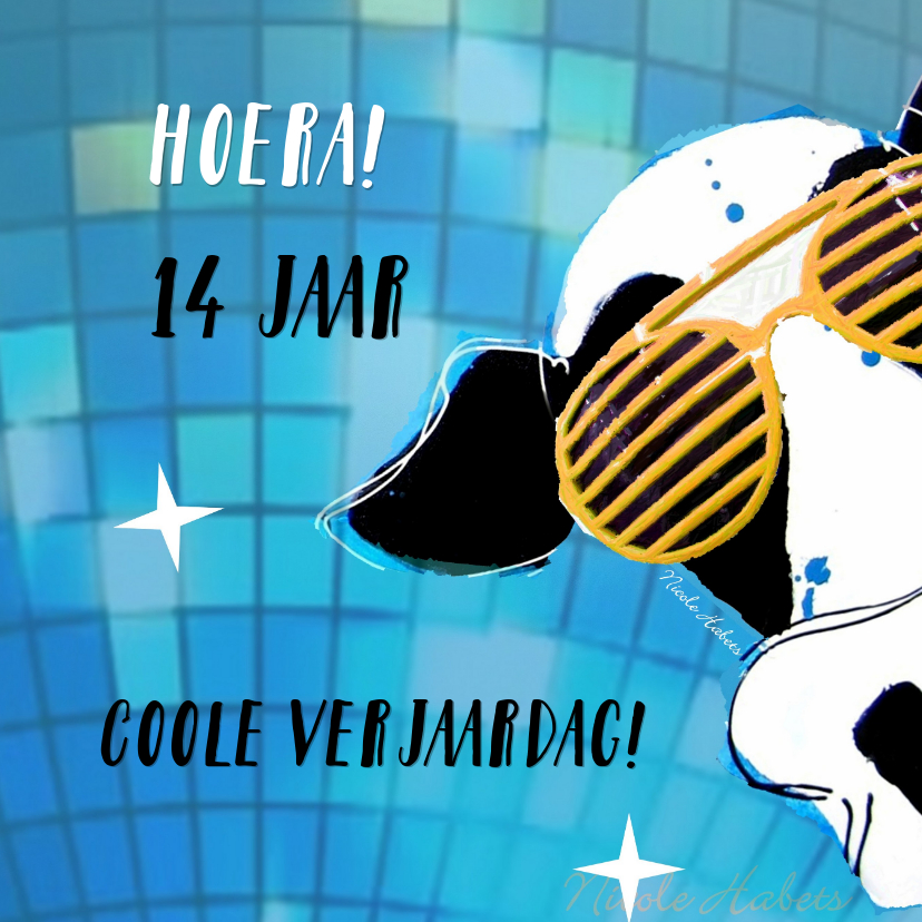 Verjaardag vette party kaart - Verjaardagskaarten Verjaardagskaarten - Verjaardag vette party kaart