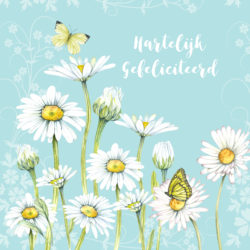 Verjaardag voorjaar margrieten - Verjaardagskaarten Verjaardagskaarten - Verjaardag voorjaar margrieten