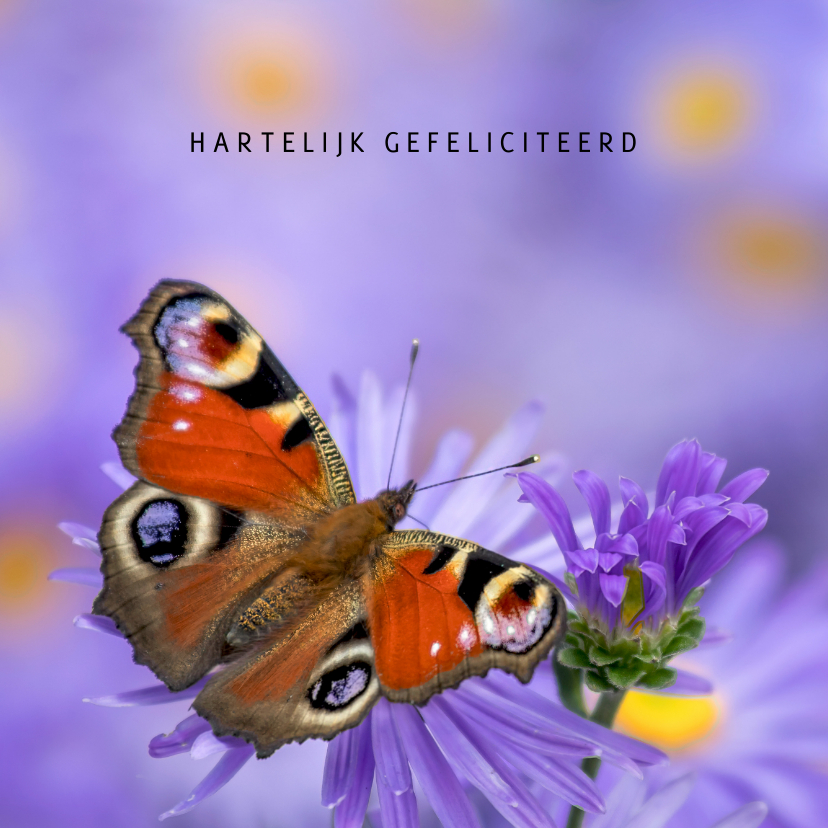 Verjaardagskaarten - Verjaardag vrolijk met vlinder