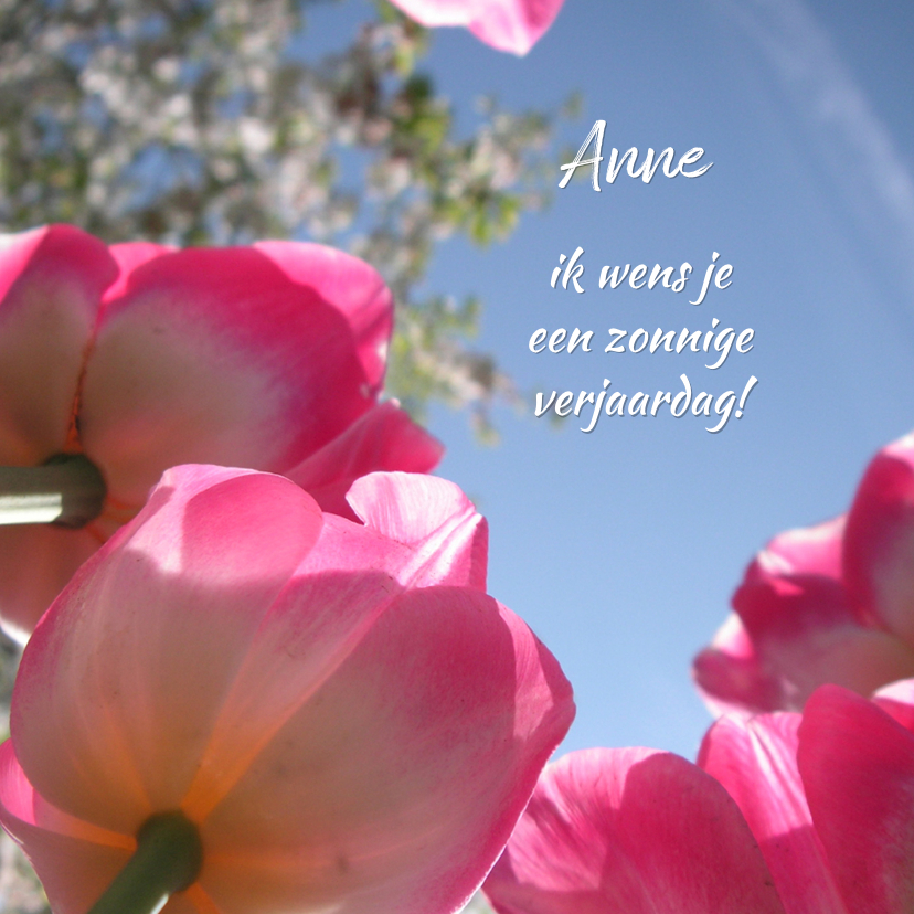 Verjaardag zonnige roze tulpen - Verjaardagskaarten Verjaardagskaarten - Verjaardag zonnige roze tulpen