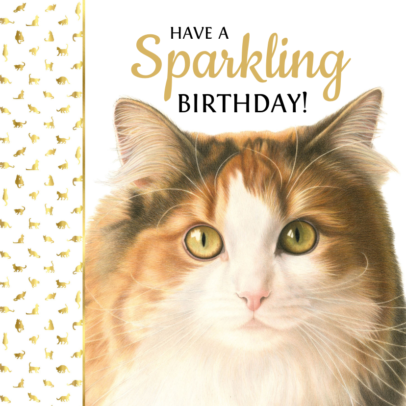 Verjaardagskaarten - Verjaardagkaart met mooi Noorse boskat