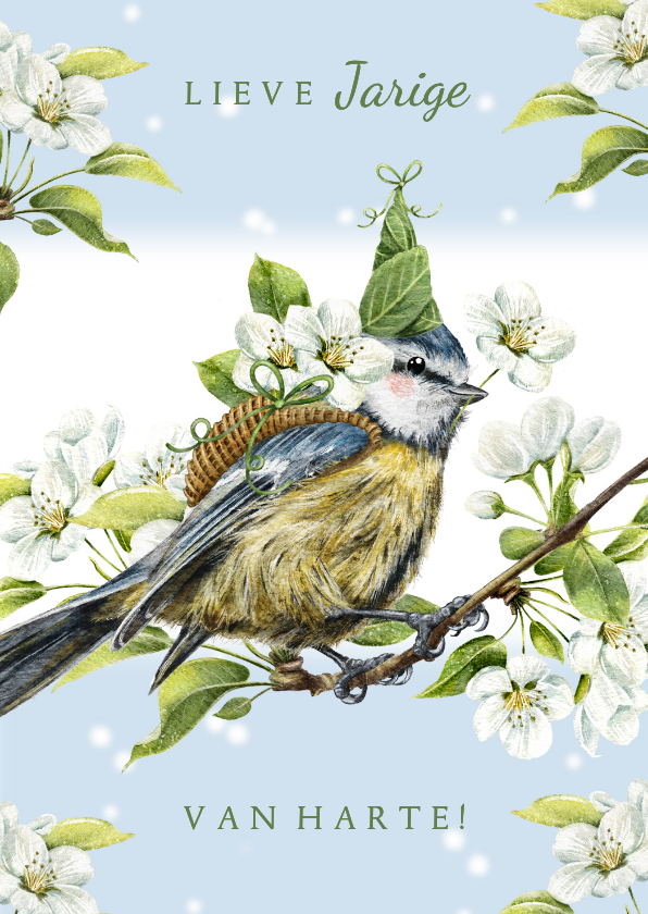 Verjaardagskaarten - Verjaardagkaart pimpelmees met feesthoed op bloesemtak