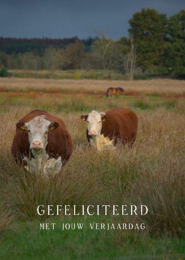 verjaardagkaart 's moe mentje  - Verjaardagskaarten Verjaardagskaarten - verjaardagkaart 's moe mentje