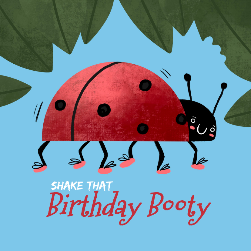 Verjaardagskaarten - Verjaardagskaart birthday booty ladybug