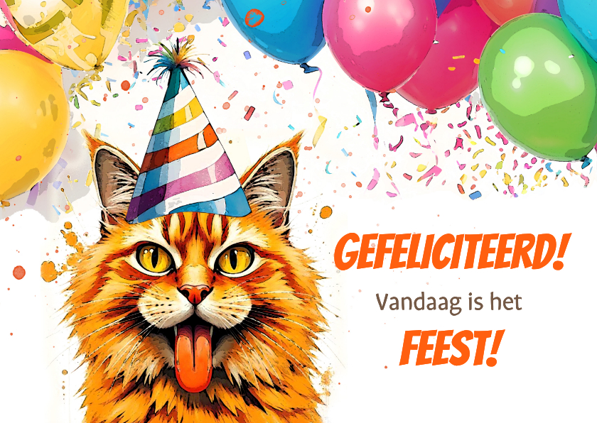 Verjaardagskaart feest met kater - Verjaardagskaarten Verjaardagskaarten - Verjaardagskaart feest met kater