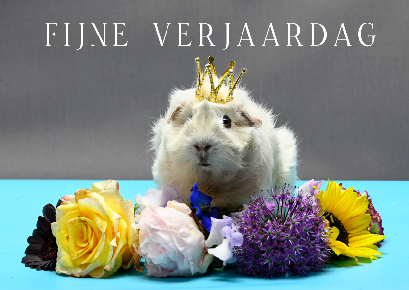 Verjaardagskaart, feestelijke cavia en een zee van bloemen. - Verjaardagskaarten Verjaardagskaarten - Verjaardagskaart, feestelijke cavia en een zee van bloemen.