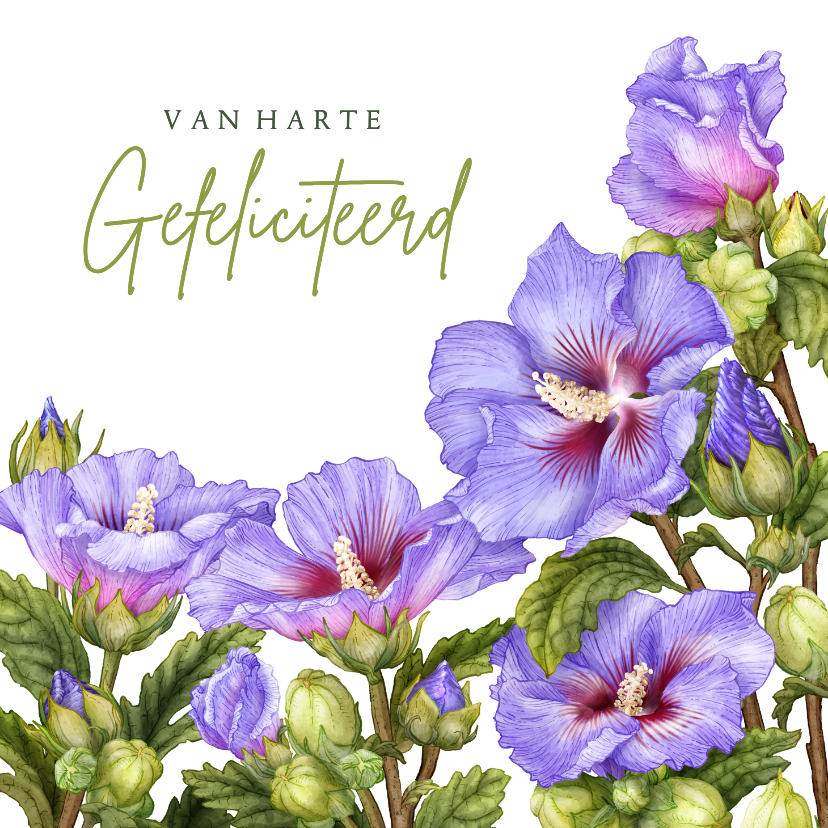 Verjaardagskaarten - Verjaardagskaart felicitatie blauwe hibiscus