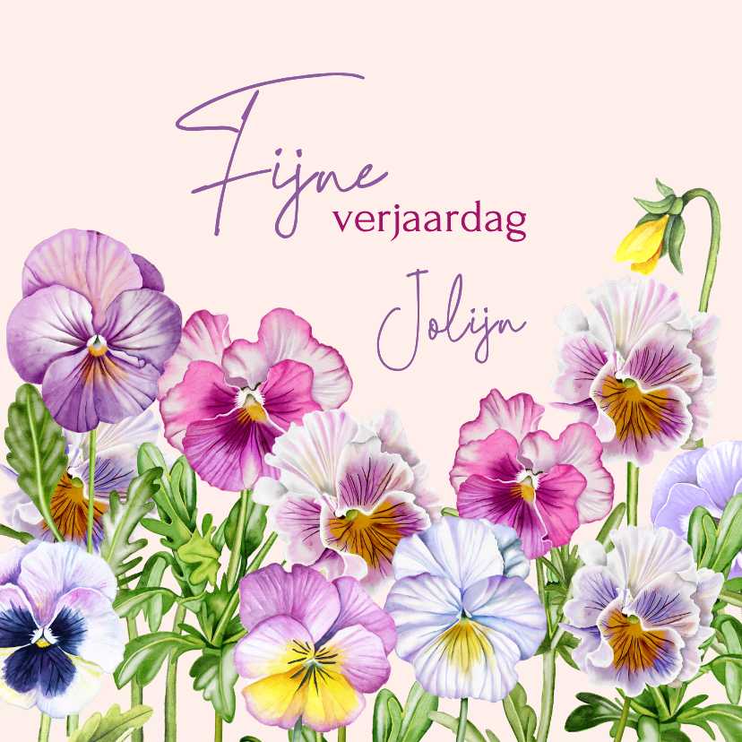 Verjaardagskaarten - Verjaardagskaart gekleurde viooltjes