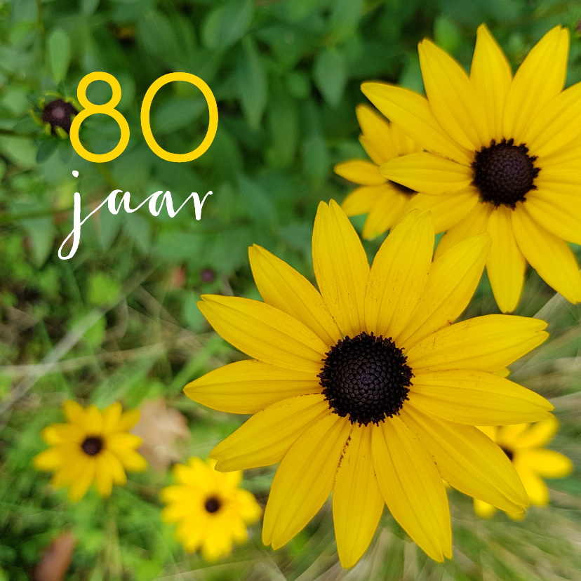 Verjaardagskaart - Gele bloemen 80 jaar - Verjaardagskaarten Verjaardagskaarten - Verjaardagskaart - Gele bloemen 80 jaar