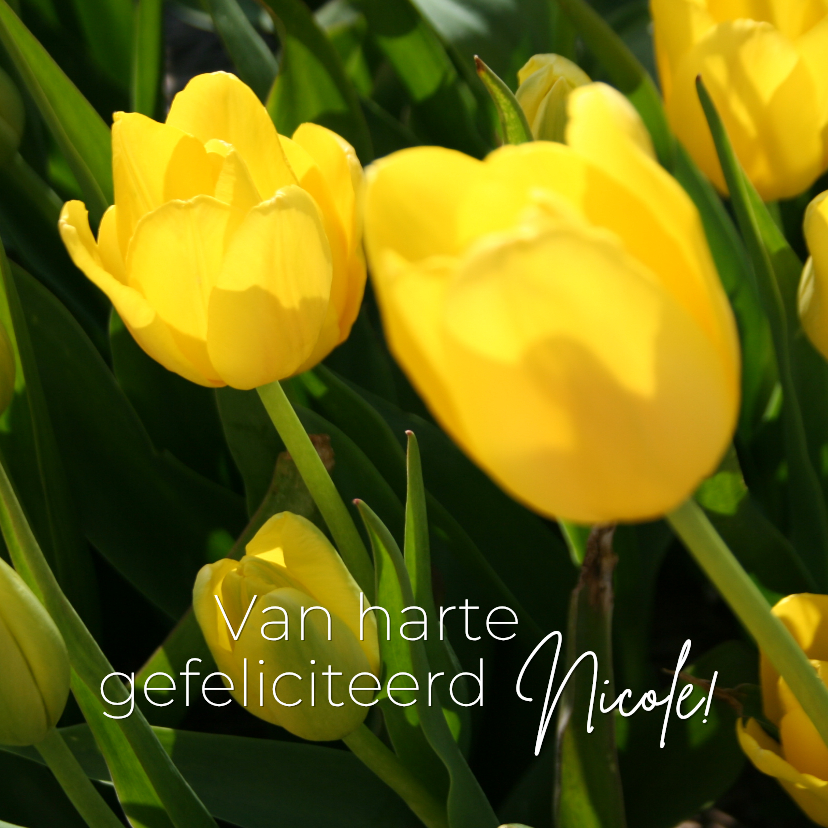 Verjaardagskaarten - Verjaardagskaart gele tulpen