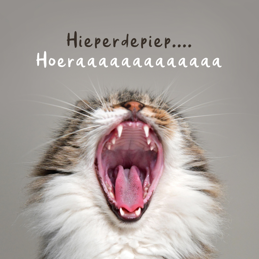 Verjaardagskaarten - Verjaardagskaart grappig hoera kat poes humor