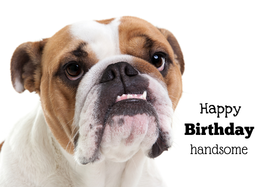 Verjaardagskaarten - Verjaardagskaart - Happy Birthday Handsome - Bulldog