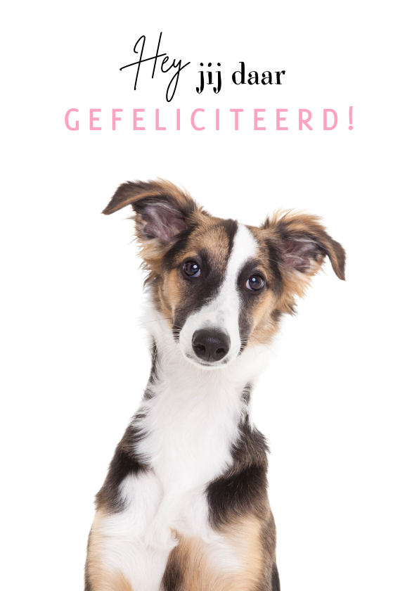 Verjaardagskaarten - Verjaardagskaart - Hey jij daar gefeliciteerd - hond