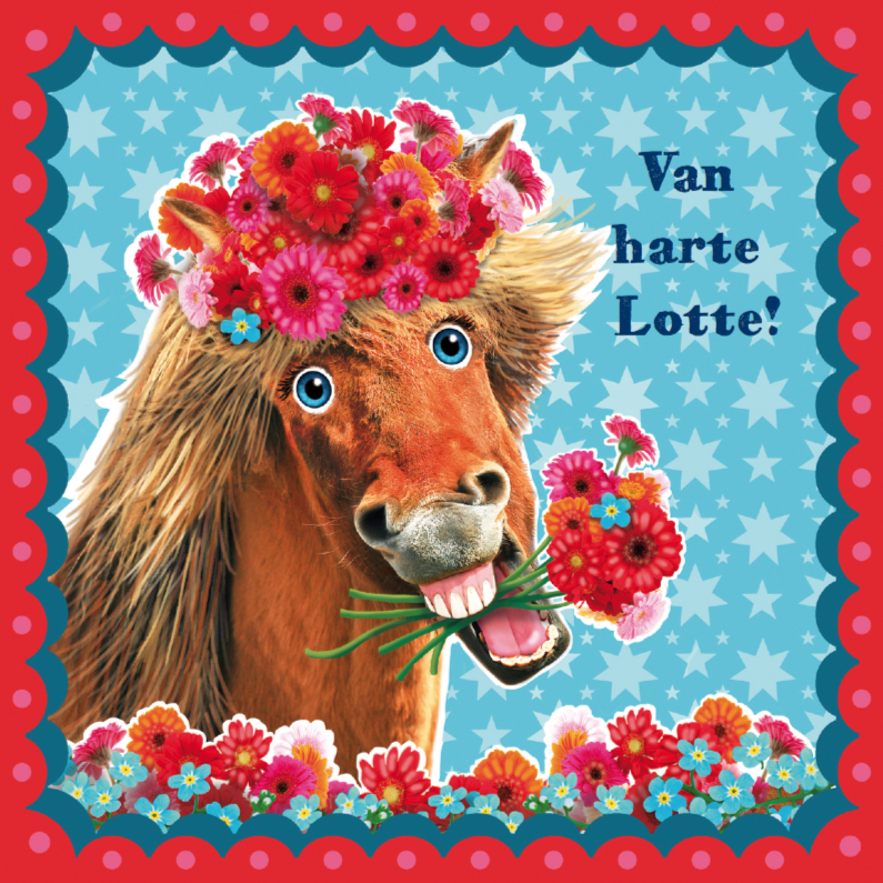 verjaardagskaart hip paard blauw rood - Verjaardagskaarten Verjaardagskaarten - verjaardagskaart hip paard blauw rood