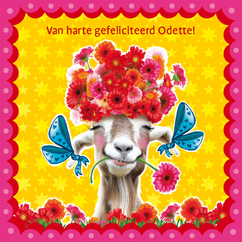 verjaardagskaart hippe geit - Verjaardagskaarten Verjaardagskaarten - verjaardagskaart hippe geit