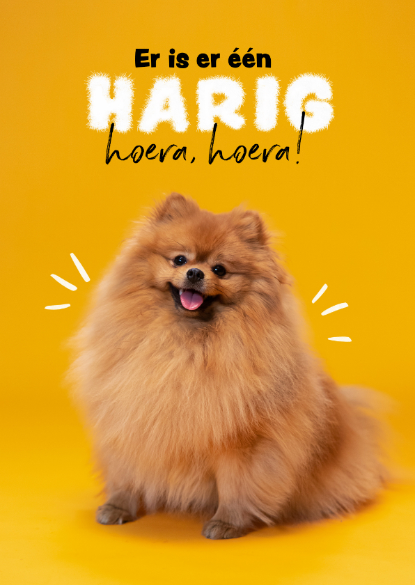 Verjaardagskaarten - Verjaardagskaart humor jarig dier hond verjaardag