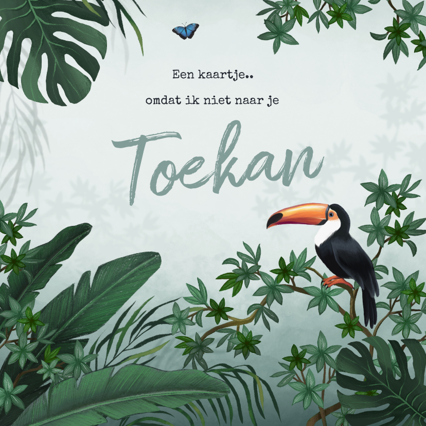 Verjaardagskaart jungle toekan - Verjaardagskaarten Verjaardagskaarten - Verjaardagskaart jungle toekan