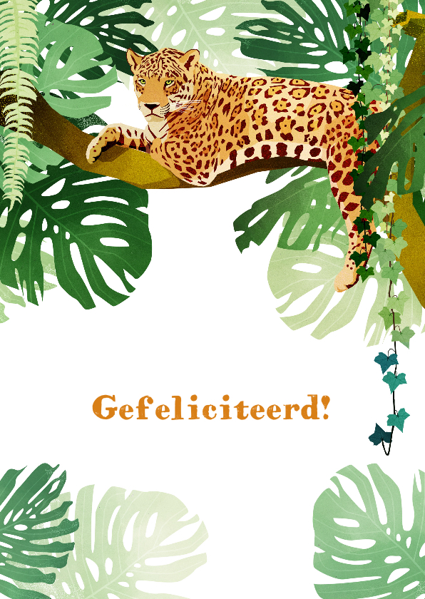 Verjaardagskaart Jungle - Verjaardagskaarten Verjaardagskaarten - Verjaardagskaart Jungle