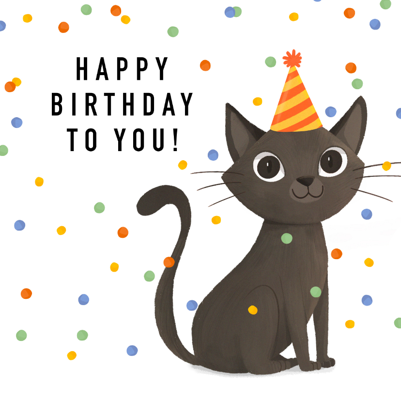 Verjaardagskaarten - Verjaardagskaart kat confetti happy birthday feestje