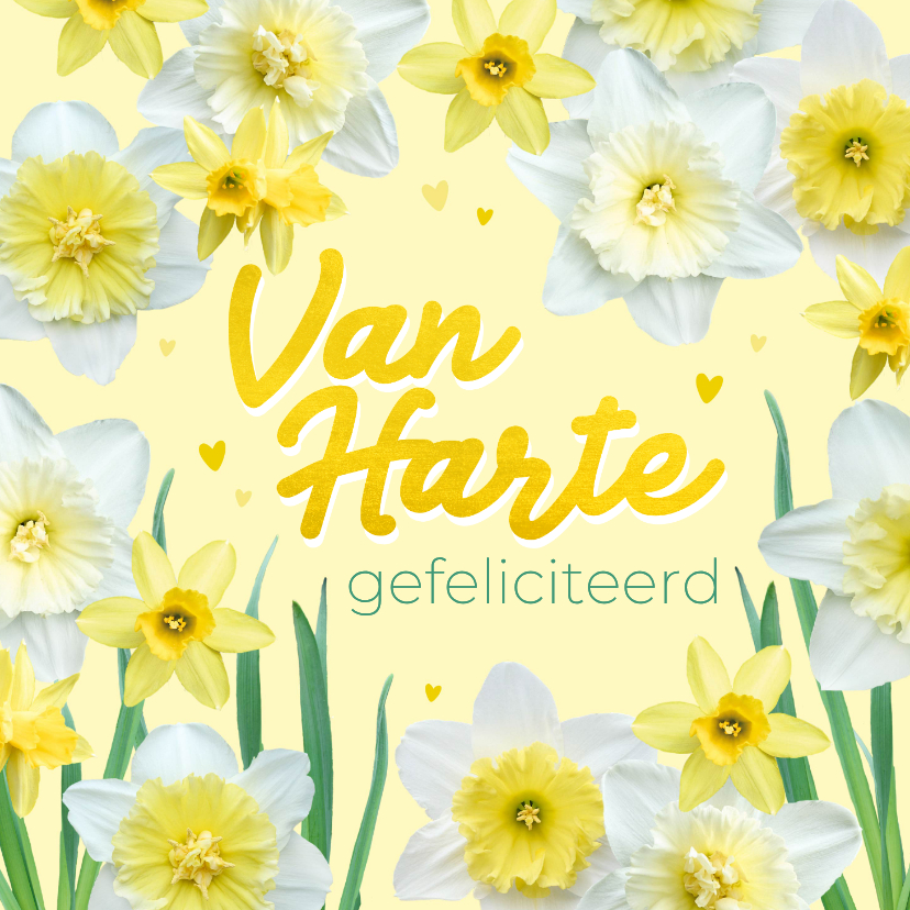 Verjaardagskaart lente narcissen - Verjaardagskaarten Verjaardagskaarten - Verjaardagskaart lente narcissen