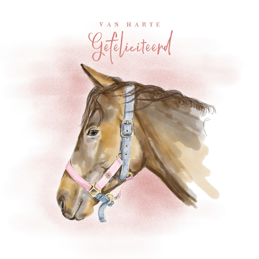 Verjaardagskaarten - Verjaardagskaart met een tekening van een paard