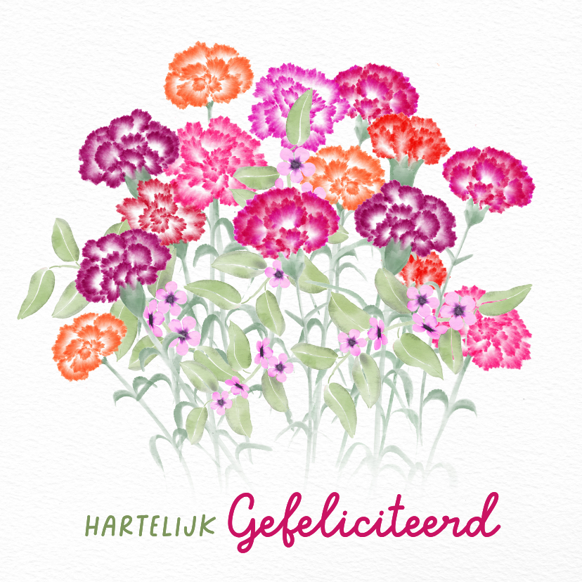 Verjaardagskaarten - Verjaardagskaart met gekleurde anjers