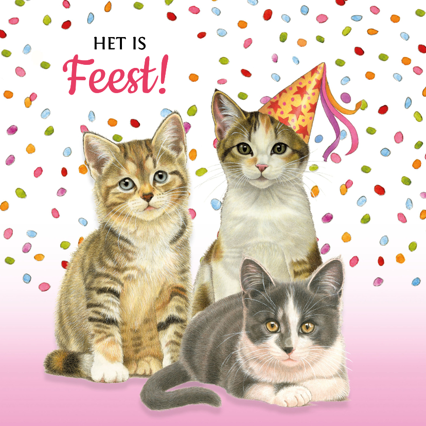Verjaardagskaart met gezellige katjes die een feestje vieren - Verjaardagskaarten Verjaardagskaarten - Verjaardagskaart met gezellige katjes die een feestje vieren