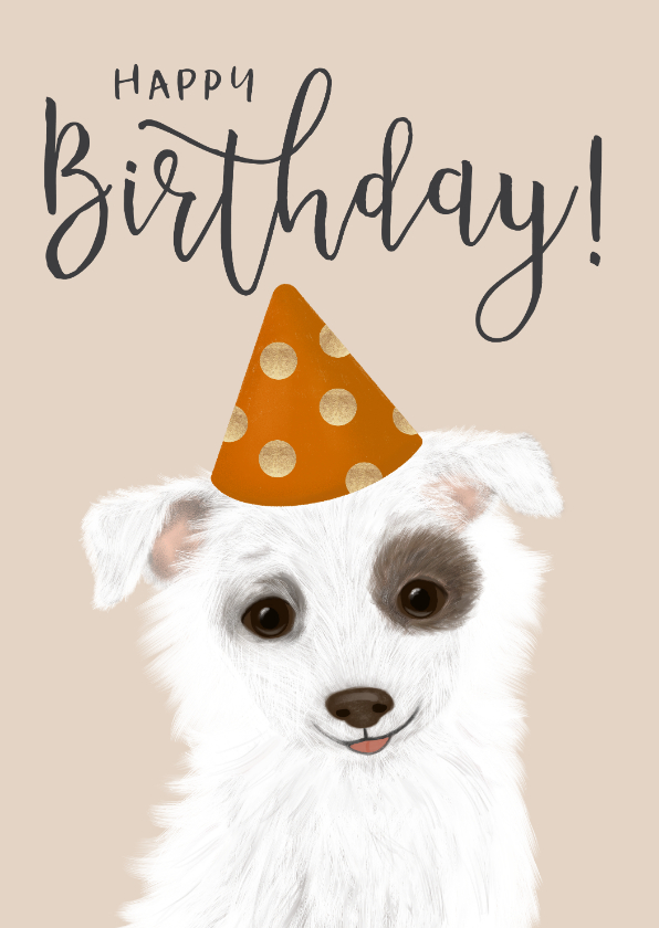Verjaardagskaarten - verjaardagskaart met lief hondje met feestmuts