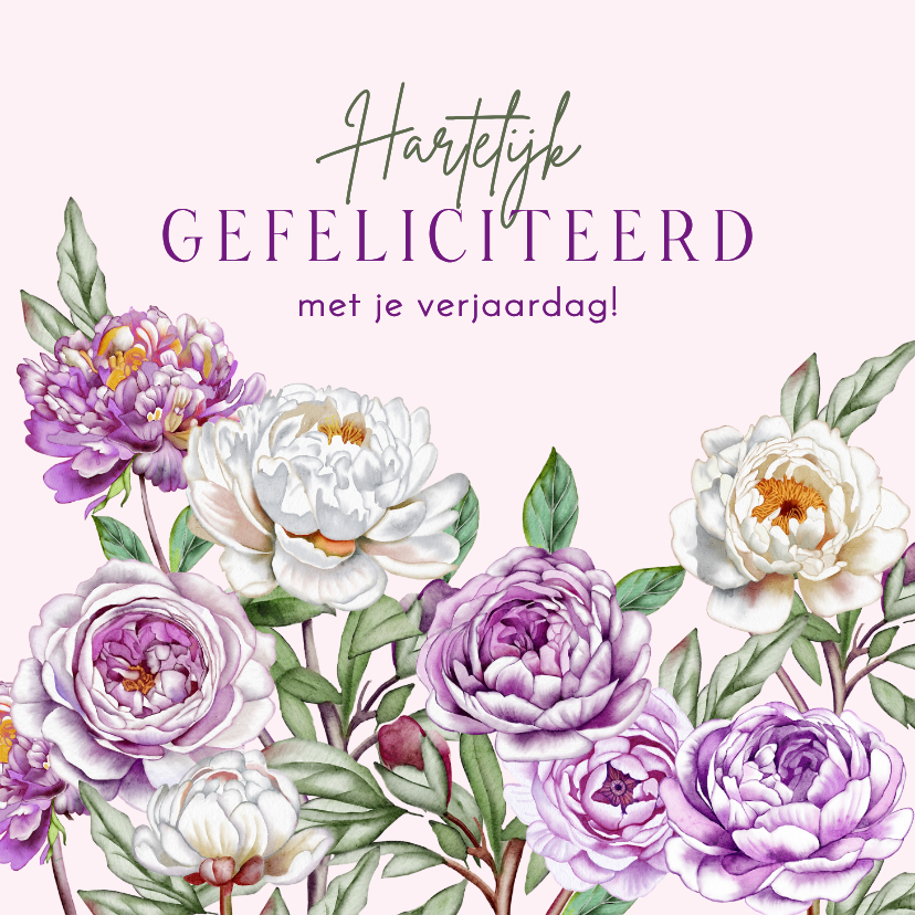 Verjaardagskaarten - Verjaardagskaart met paarse en witte rozen