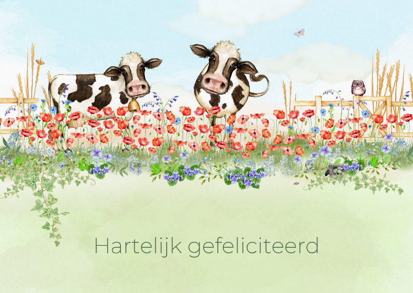Verjaardagskaarten - Verjaardagskaart met rode klaprozen en koeien