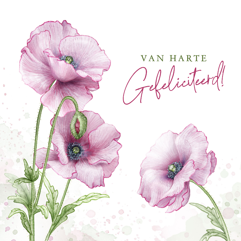 Verjaardagskaarten - Verjaardagskaart met roze bijzondere realistische klaproos