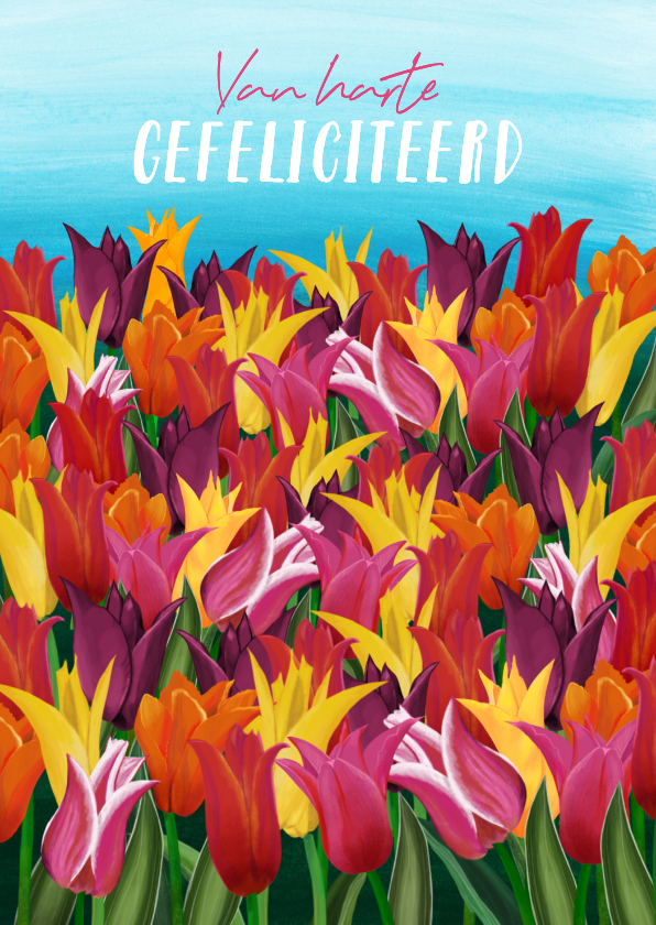 Verjaardagskaarten - Verjaardagskaart met tulpenveld