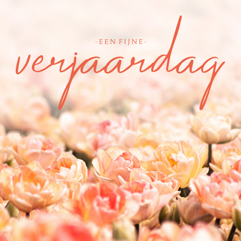 Verjaardagskaarten - Verjaardagskaart oranje tulpen fijne verjaardag