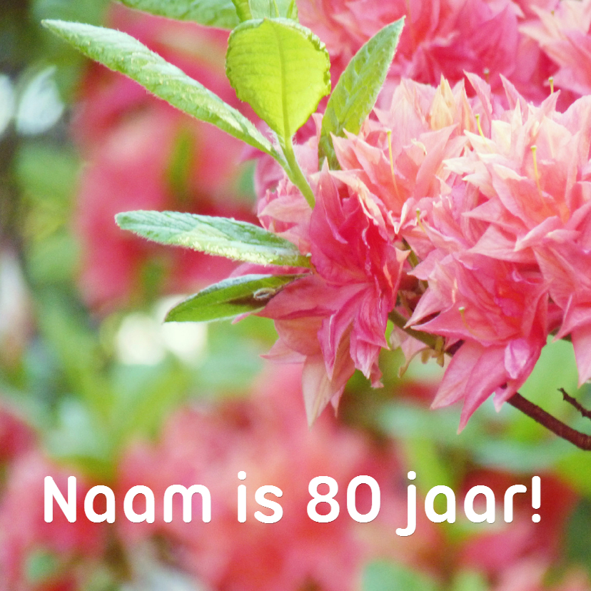 Verjaardagskaart rhododendron 80 - Verjaardagskaarten Verjaardagskaarten - Verjaardagskaart rhododendron 80