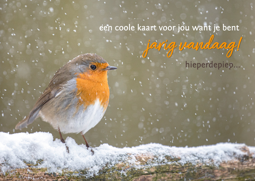 Verjaardagskaart roodborst in stuifsneeuw - Verjaardagskaarten Verjaardagskaarten - Verjaardagskaart roodborst in stuifsneeuw