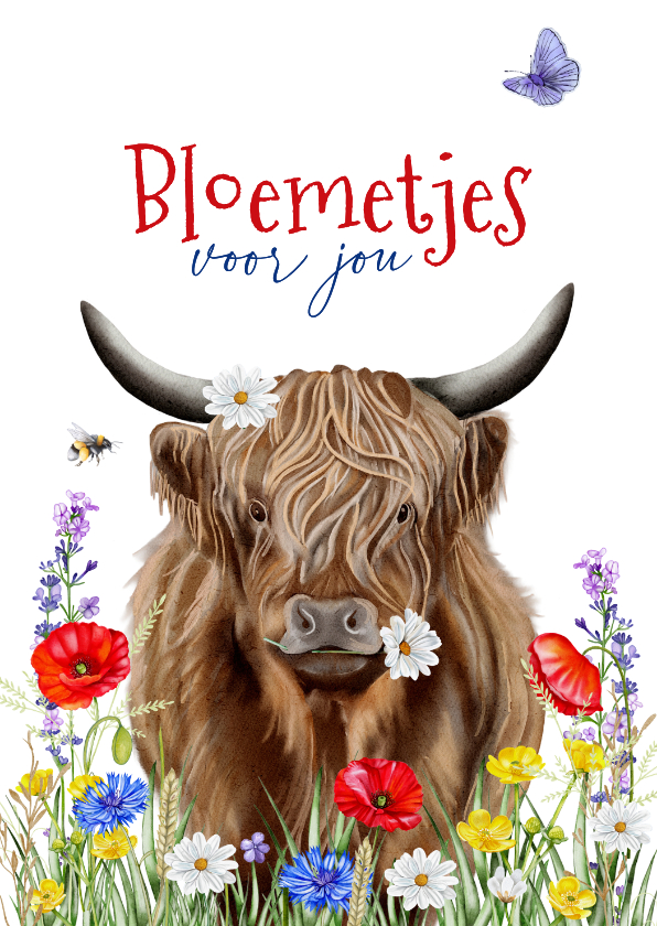 Verjaardagskaarten - Verjaardagskaart Schotse hooglander met veldbloemen