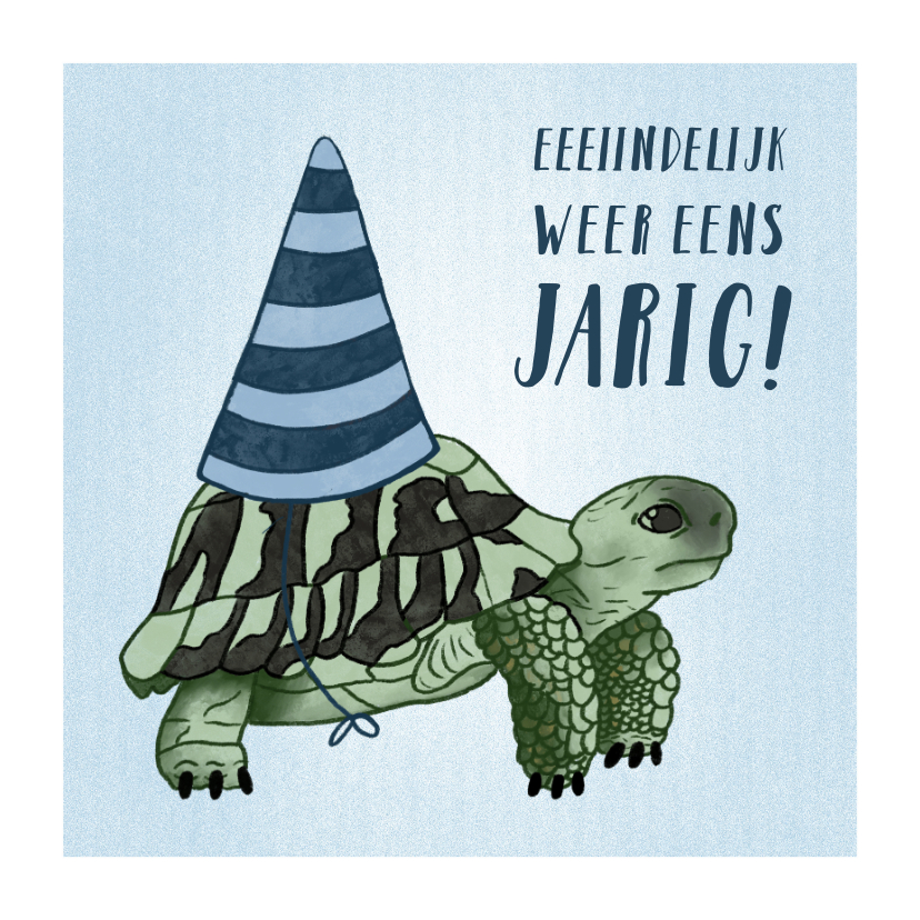 Verjaardagskaarten - Verjaardagskaart schrikkeljaar met schildpad en hoedje