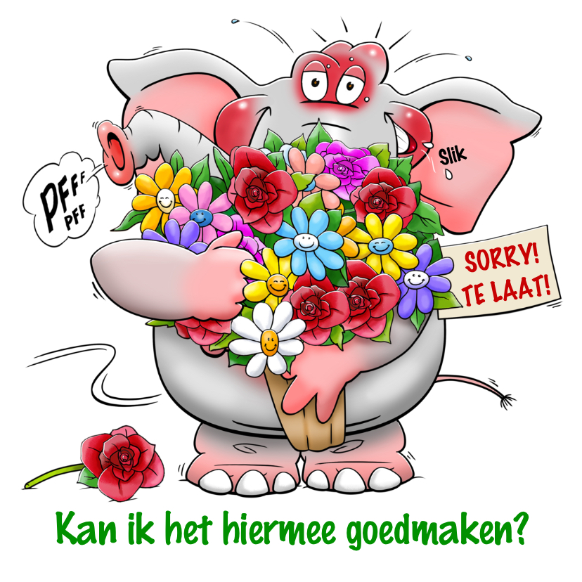 Verjaardagskaart Sorry te laat olifant bos bloemen - Verjaardagskaarten Verjaardagskaarten - Verjaardagskaart Sorry te laat olifant bos bloemen