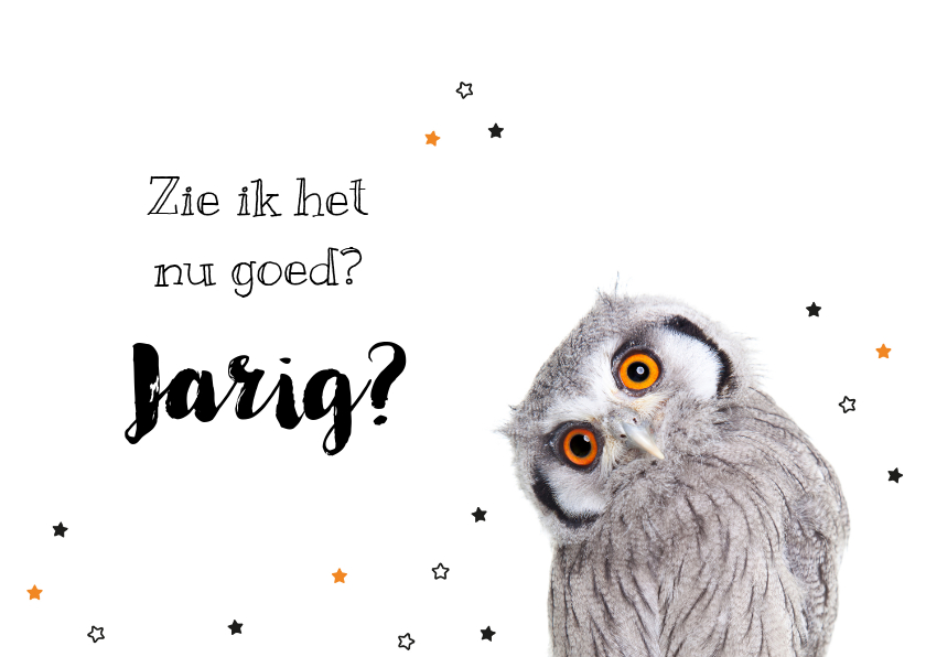 Verjaardagskaarten - Verjaardagskaart - Uil - Zie ik het goed? Jarig?