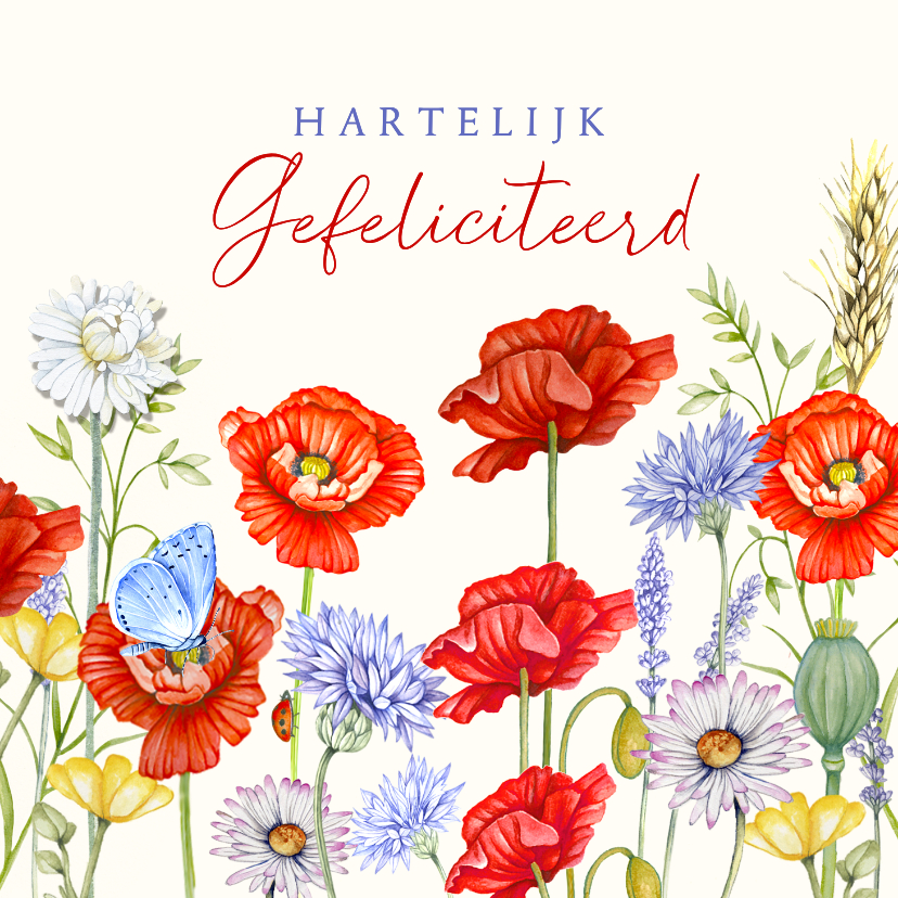 Verjaardagskaarten - Verjaardagskaart veldbloemen klaprozen